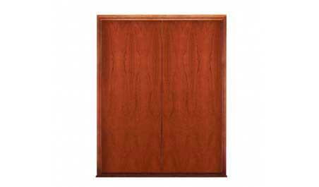 solidcore flush ply: double door